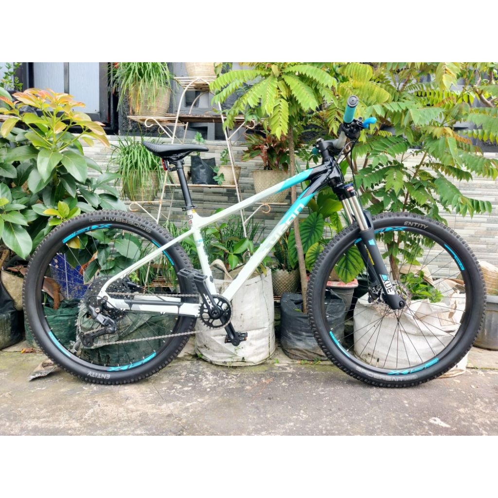 Polygon Xtrada 5 2025