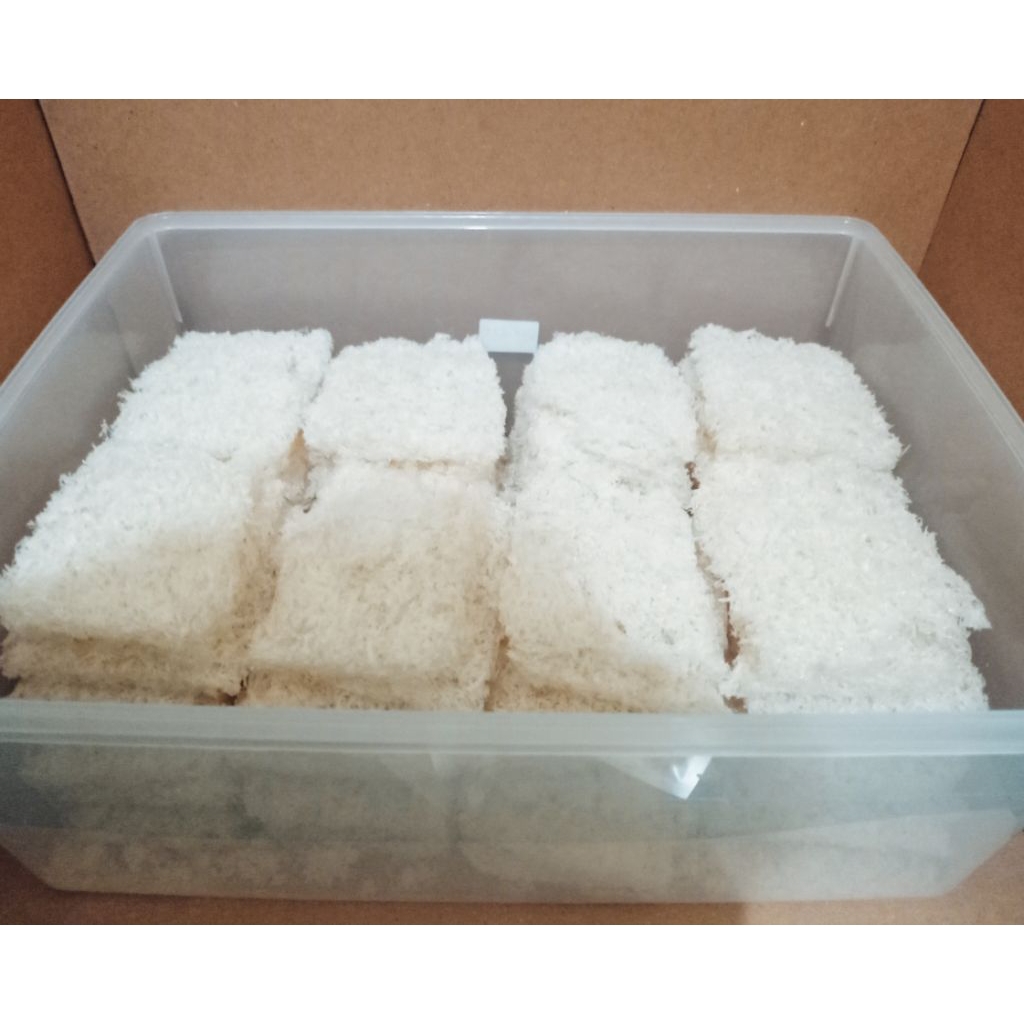 

Sarang burung walet original bersih 1 gram