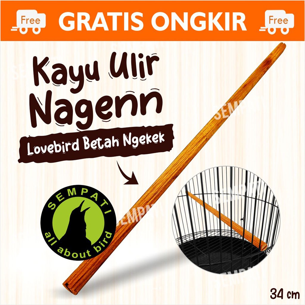 SEMPATI Tangkringan Lovebird Ulir Kayu Jati Ukuran 30 Cm Tangkringan Sangkar Kandang Burung Lovebird