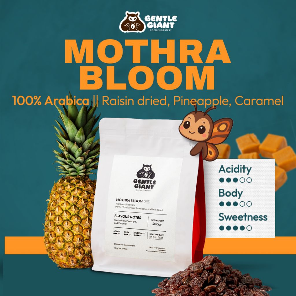 

MOTHRA BLOOM 1000gr – Kopi Arabica Specialty Premium | Biji Kopi / Kopi Bubuk Fresh Roast | Notes Raisin Pineapple Caramel by Gentle Giant