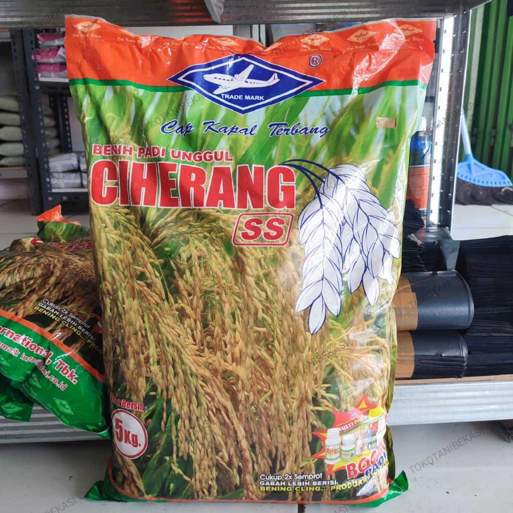 Benih Bibit Padi Unggul Ciherang Bisi 5 kg SS Cap Kapal Terbang