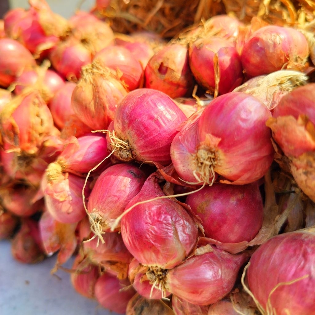 

Bawang Merah Nganjuk ( Sedang - Besar )