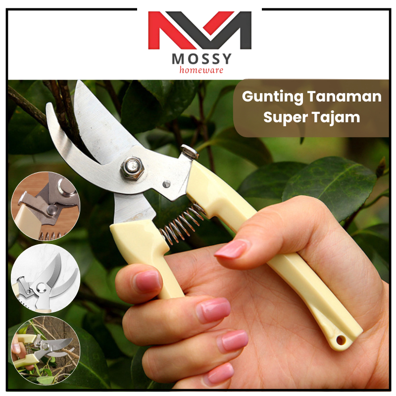 MOSSY Gunting Dahan Ranting Pohon Pruning Alat Potongg Dahan Ranting Rating Pohon Gunting Tanaman Ta
