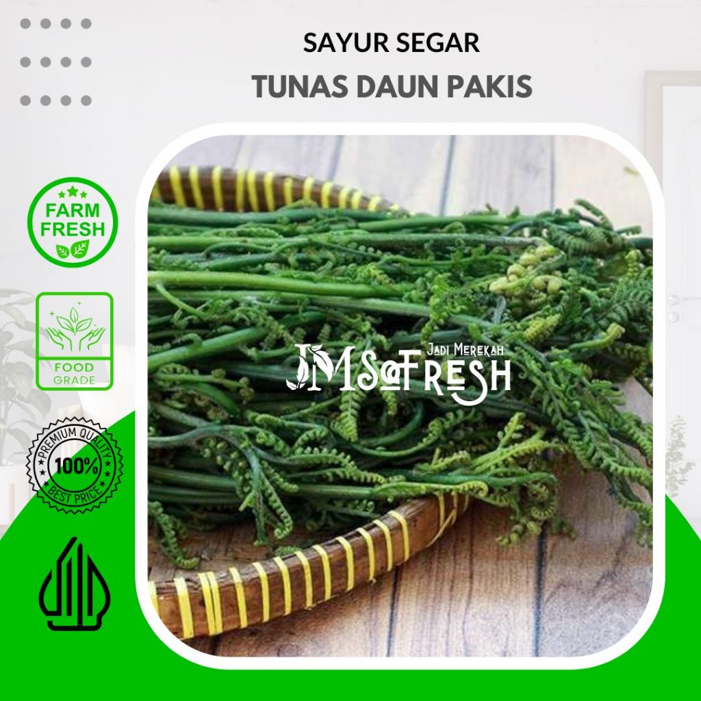 

[JM SoFresh] Tunas Daun Pakis Sayur Segar 500 gram