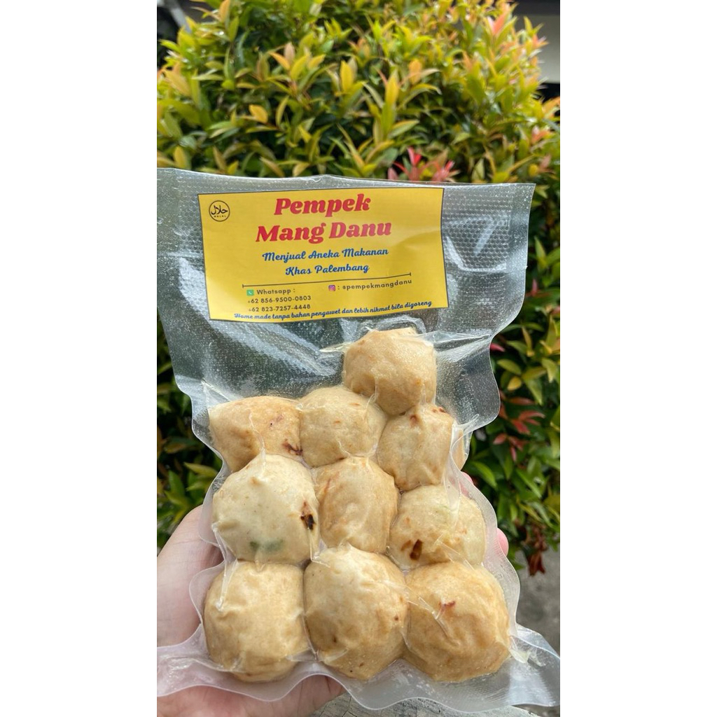 

pempek adaan isi 10 (ikan tenggiri)