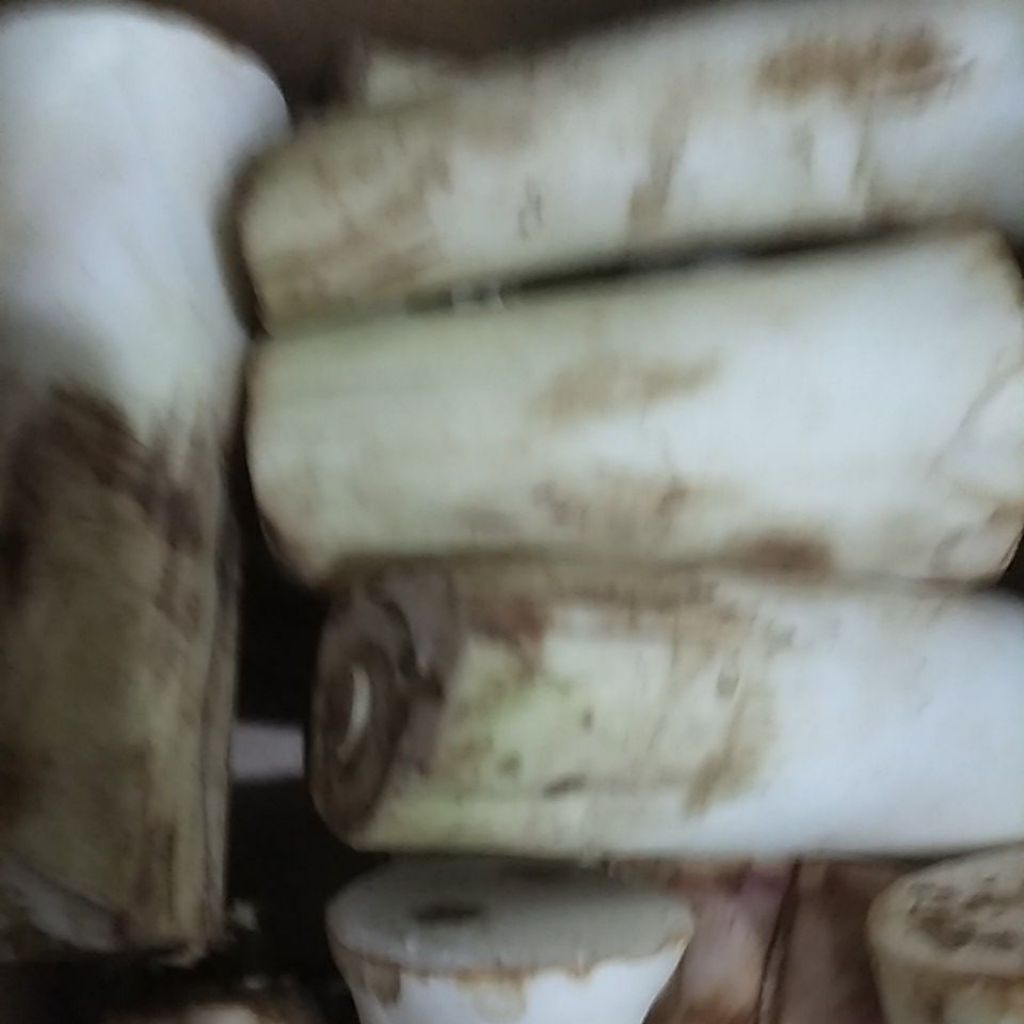 

Sayur Lompong Bentol Bentul Talas segar