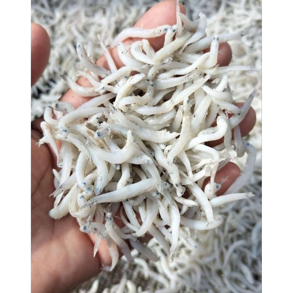 

TERI NASI KASAR//TERI TOGE//TERI MEDAN ASLI 250gr