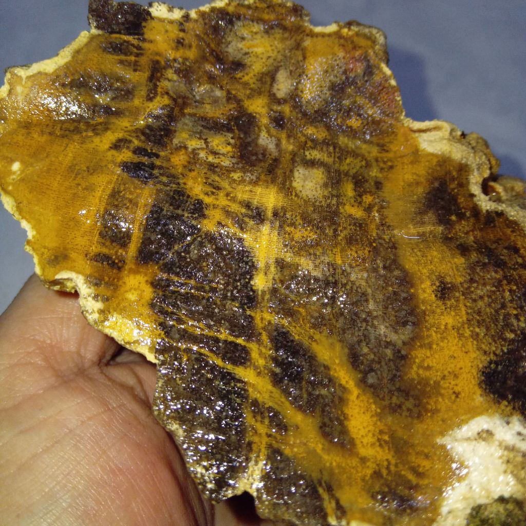 Natural Batu Motif Bulu Macan Sumatera Top Quality