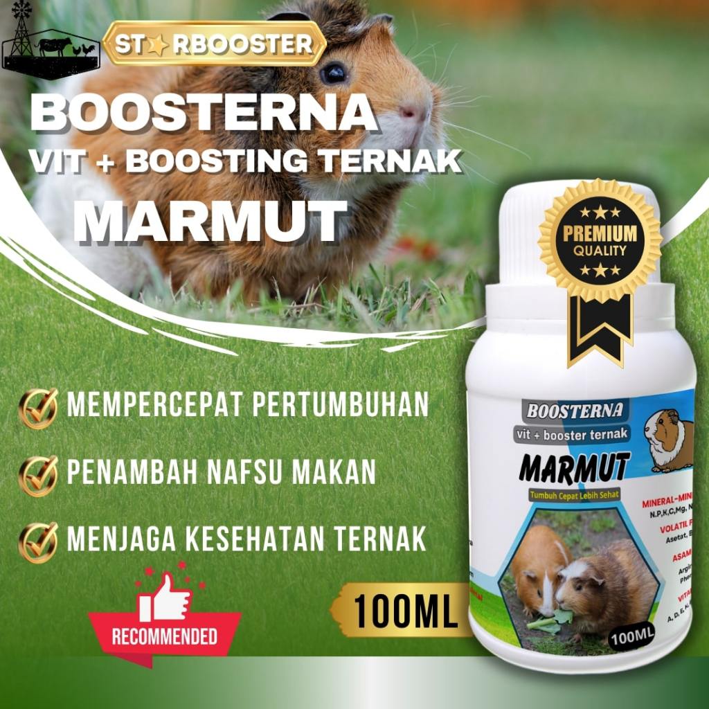BOOSTING ternak MARMUT Vitamin Probiotik Vitamin Suplemen Marmut Hias Anggora Fuzzy Lop Holland Neth