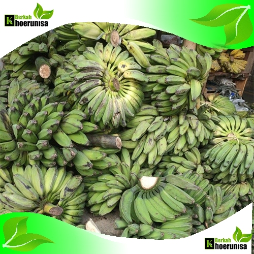 

Paket Kargo Pisang Kepok Mentah 5 kg Fresh