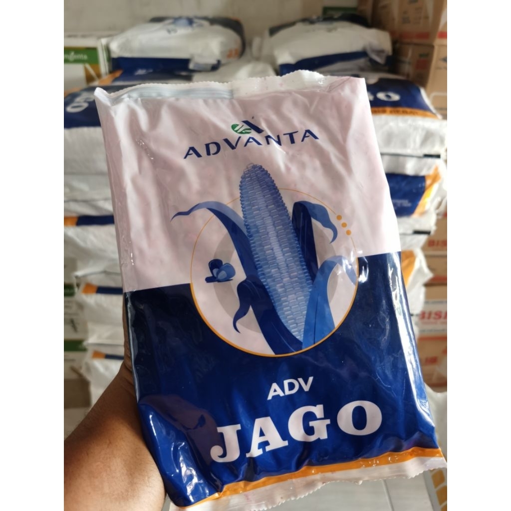 Benih Jagung Hibrida ADV JAGO 1 Kg