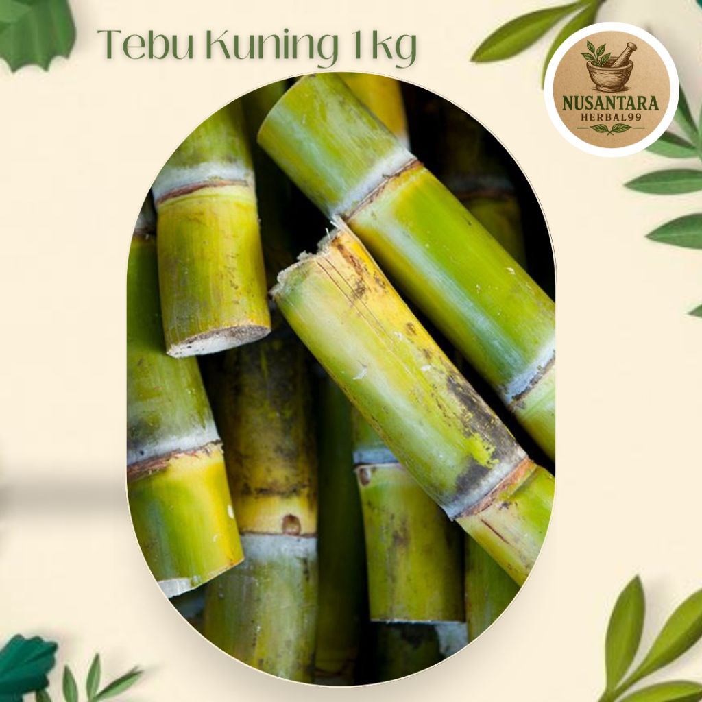 

Stek Tebu Kuning Per 1kg Fresh