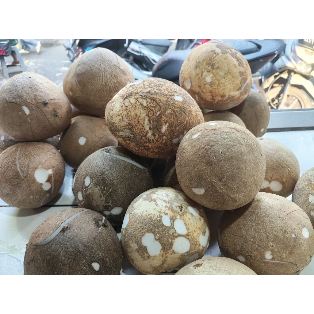

kelapa utuh tua, muda 1 butir