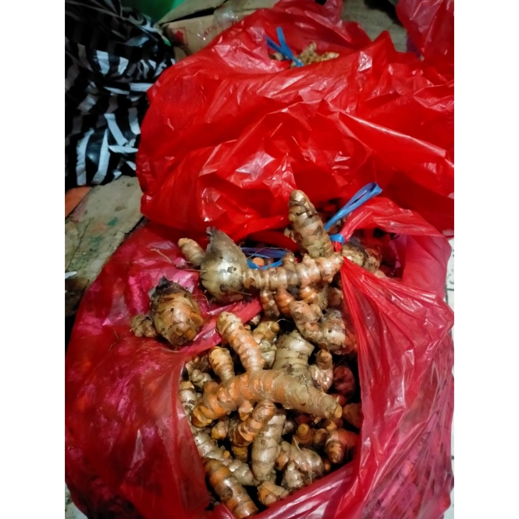 

1Kg Kunyit / Kunir segar, fresh.