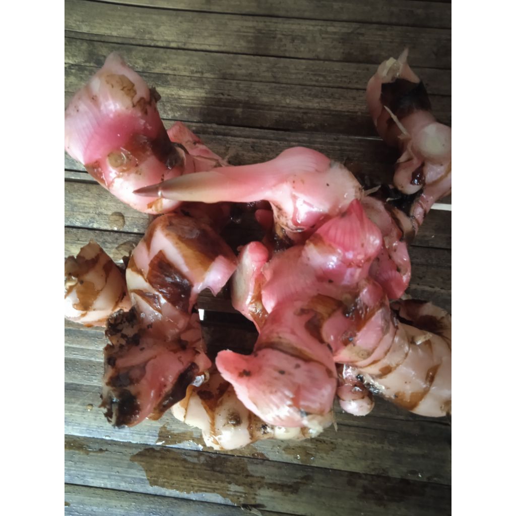 

lengkuas merah/laza 500 gram