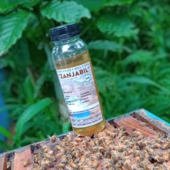 

Zanjabil Madu Murni | Raw Honey 350gr Nektar Bunga Randu