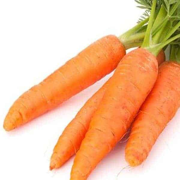 

Wortel Segar Fresh 500 gram / Pengiriman Kilat Surabaya