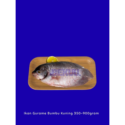 

Gurame Bumbu Kuning Auto Nambah Nasi Terusss