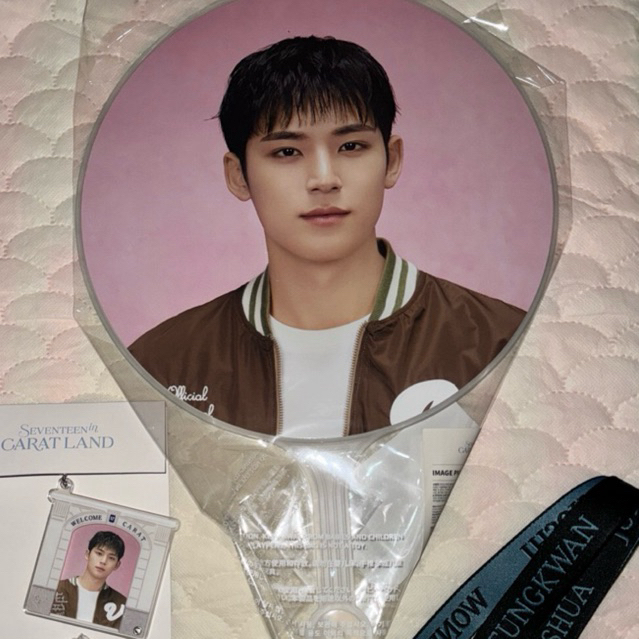 IMAGE PICKET MINGYU SEVENTEEN CARATLAND 2025