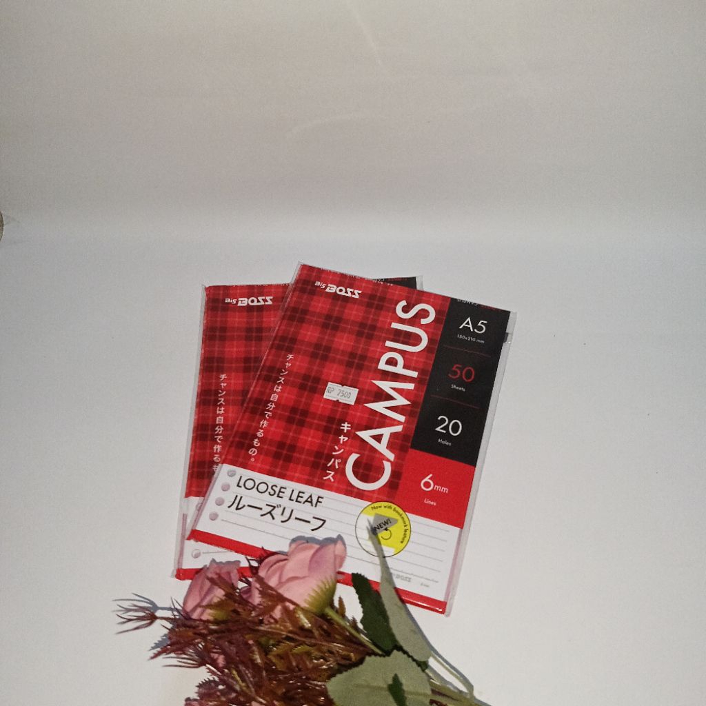 

BigBoss Loose Leaf A5 50 Lembar (Isi Binder)