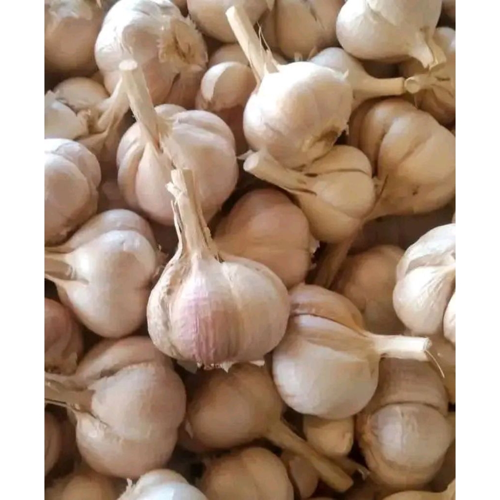 

bawng putih kating, 1 kg