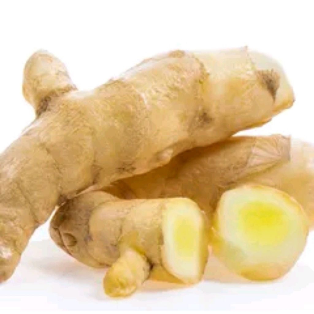 

kunyit putih pasti segar buat obat obatan 1kg