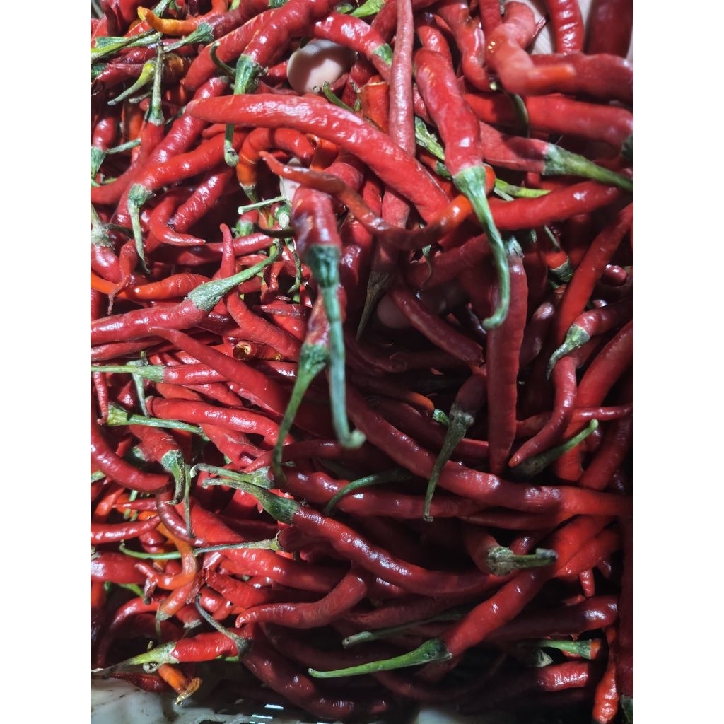 

Cabe keriting 500grm