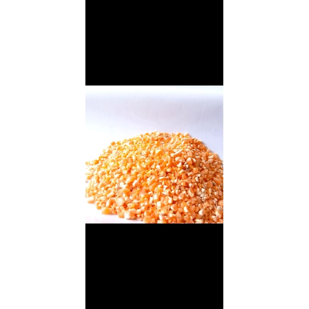 jagung Giling/Jagung Pecah