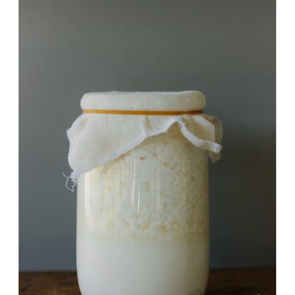 

KEFIR susu sapi pasteurise 24 jam