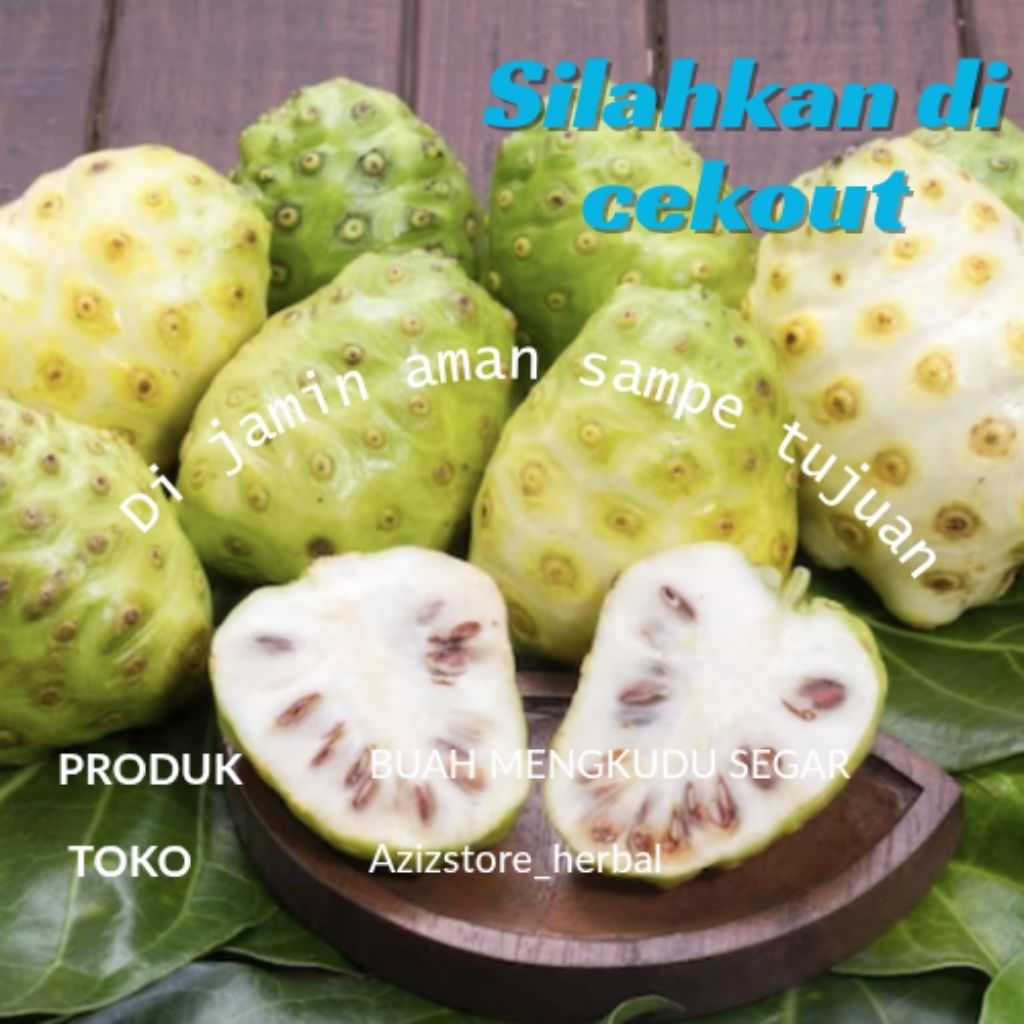 

obat herbal alami buah mengkudu segar berat 1 kg