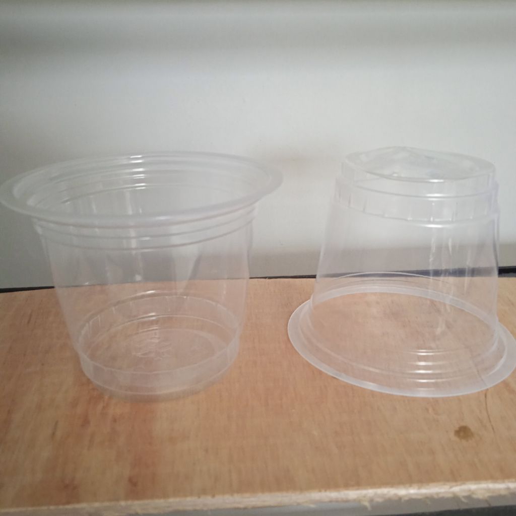 cup plastik idolastar 10