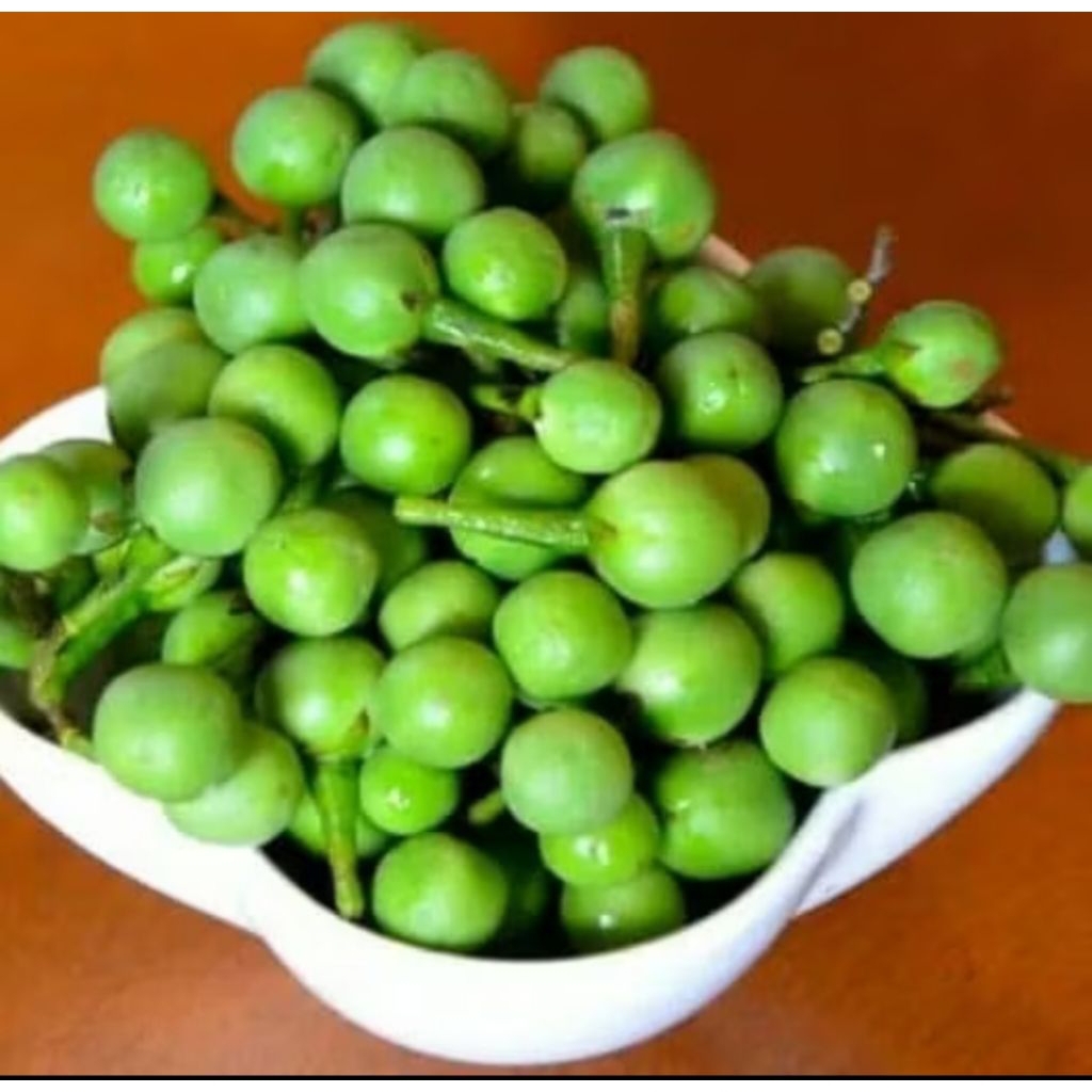 

Takokak Cepokak/Terung pipit fresh/segar 500gram mendadak petik ready stok