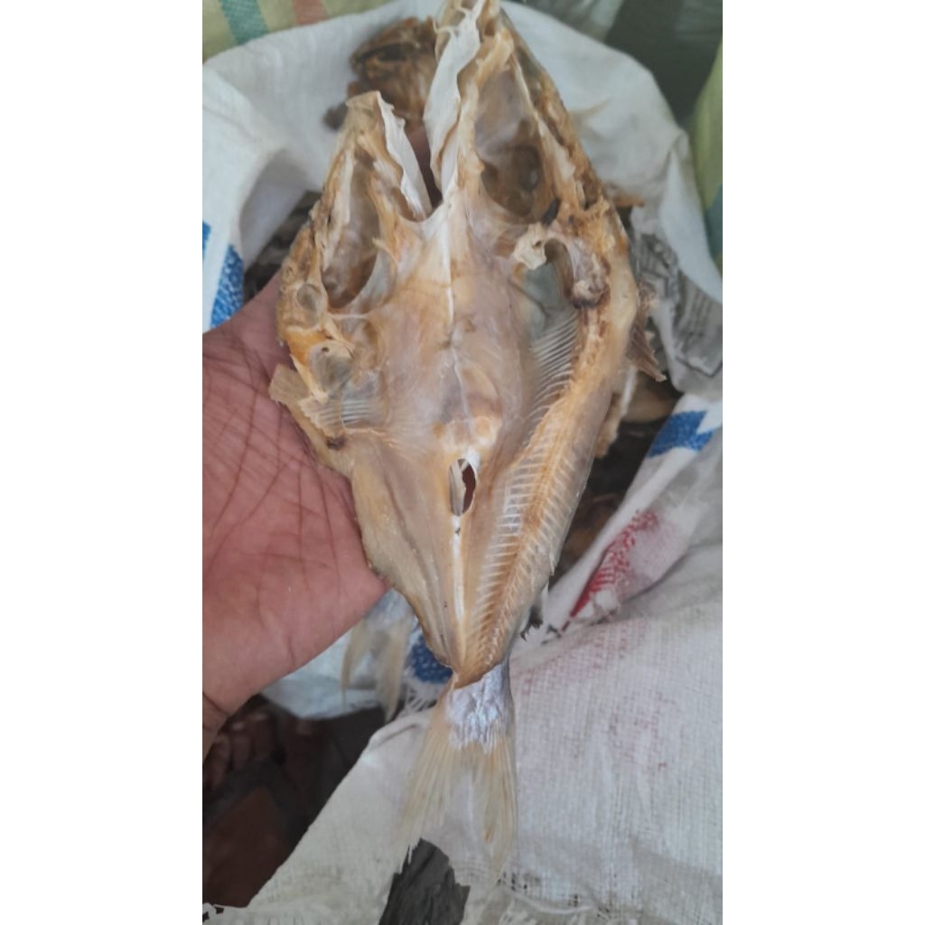 

IKAN BAUNG ASIN BELAH