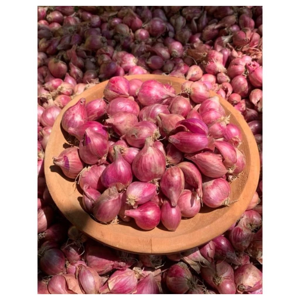 

Bawang Merah 1 Kg Sedang Kecil Murah|Bawang Merah Termurah