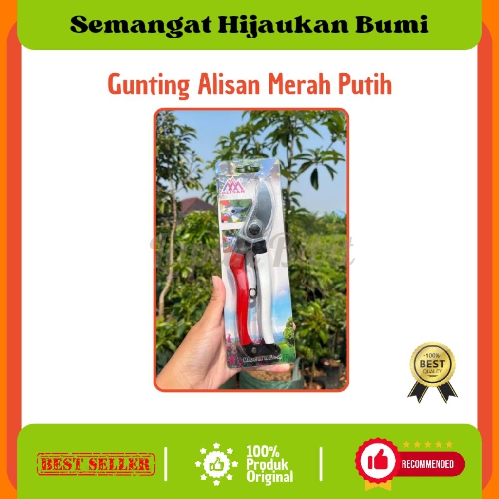 

Gunting Alisan Merah putih