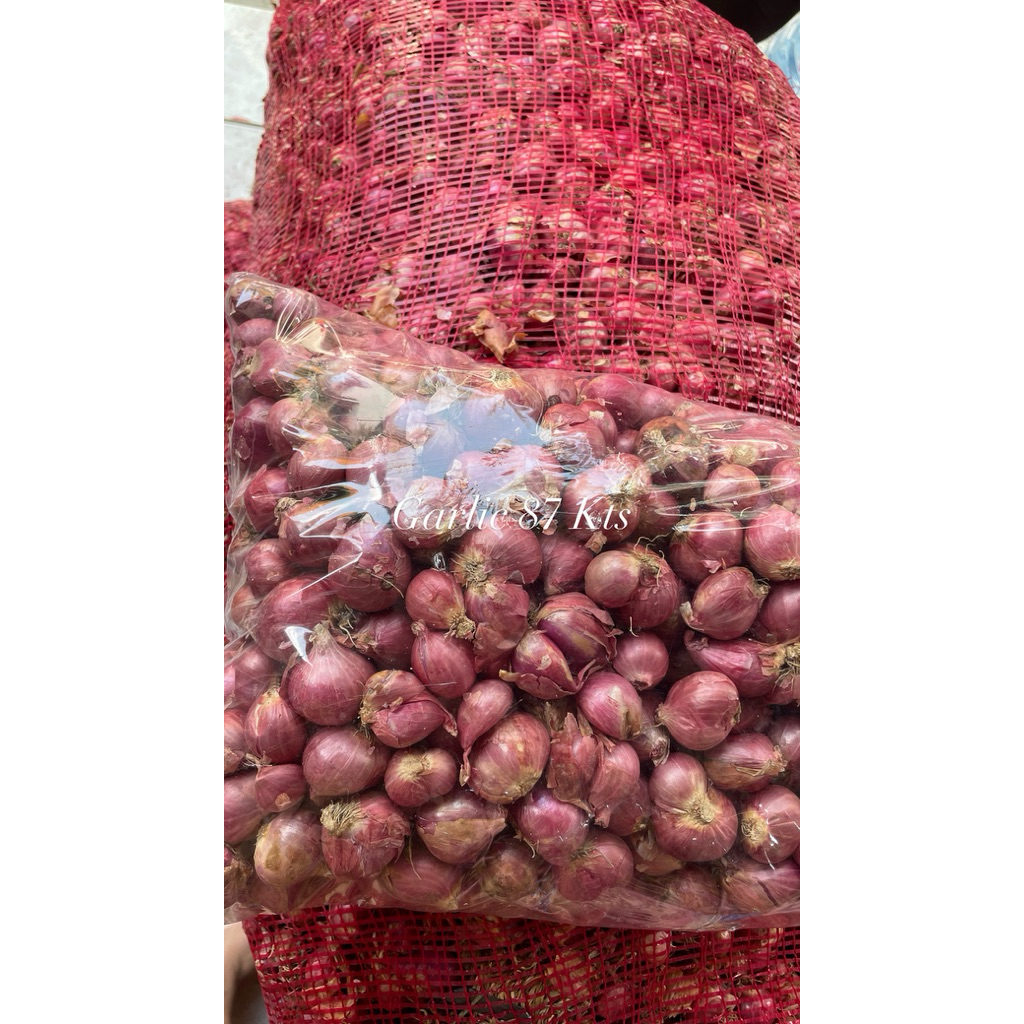 

BAWANG MERAH BIMA BESAR SUPER TERMURAH