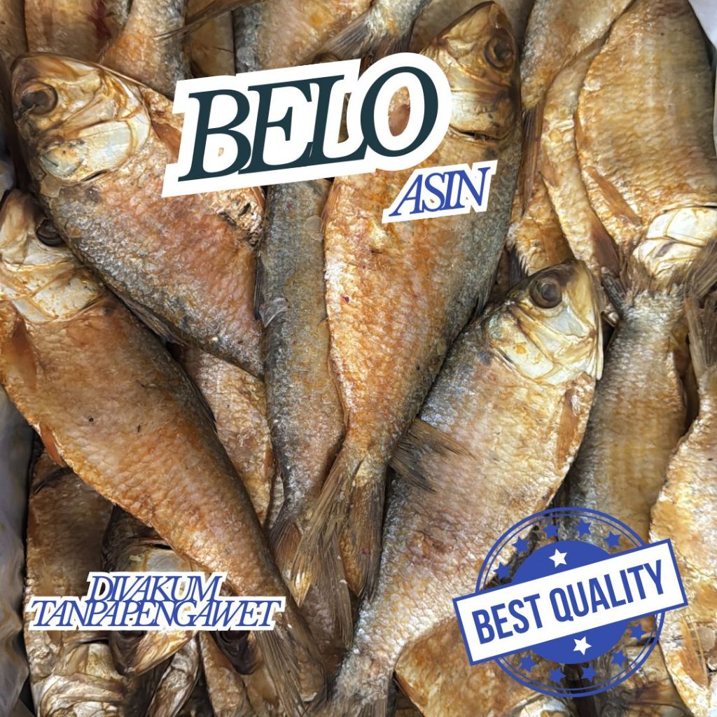 

IKAN ASIN BELO Kemasan Vakum Higienis Siap KIrim