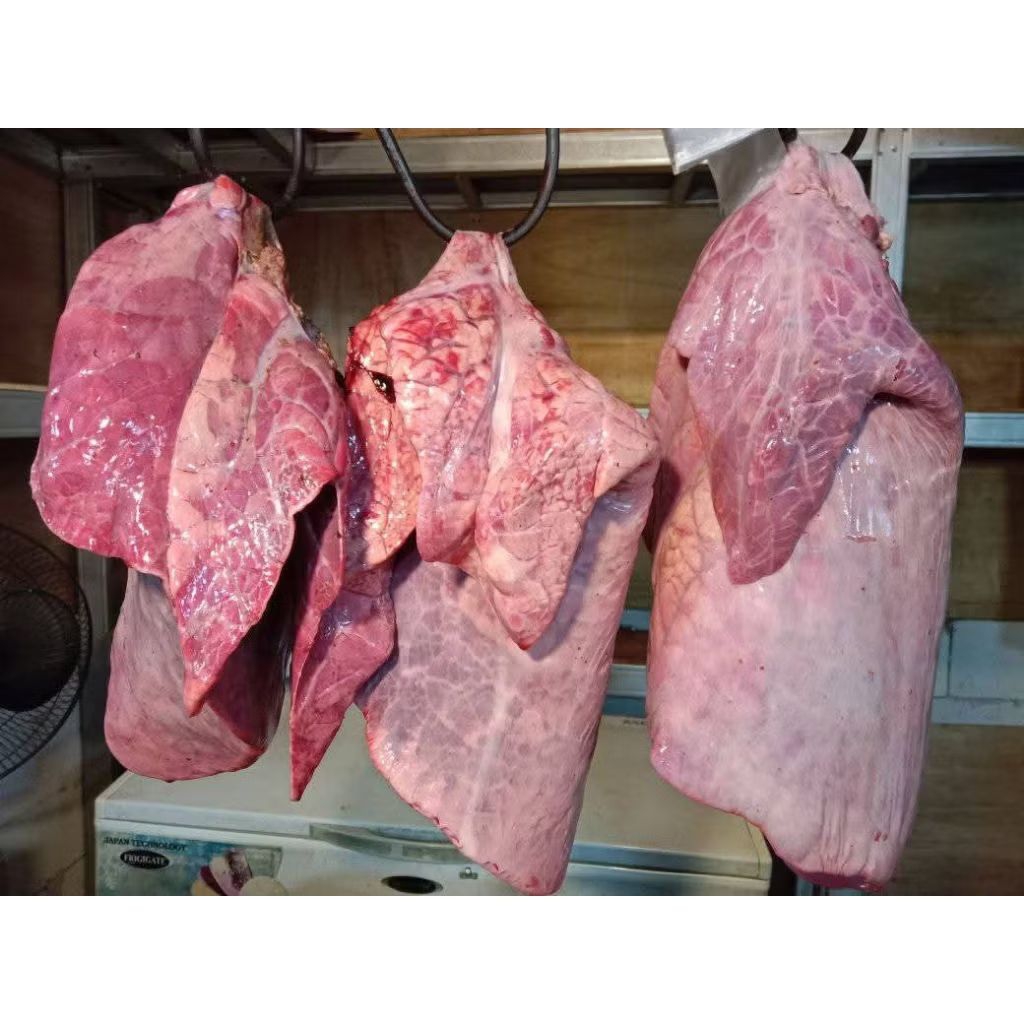 

Paru Sapi Lokal 1 kg Fresh