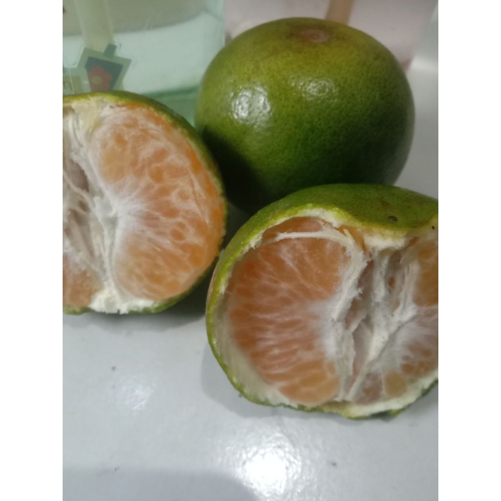 

jeruk buah manis&segar fres 1kg
