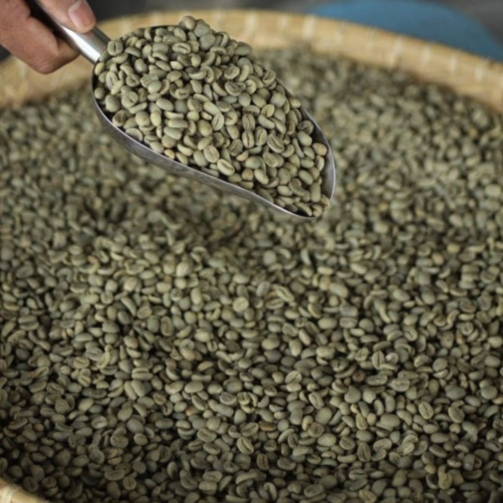 

Full Washed Kopi Grean Bean Arabika Gayo Biji Mentah Kualitas Ekspor Greed 1 Netto 1kg