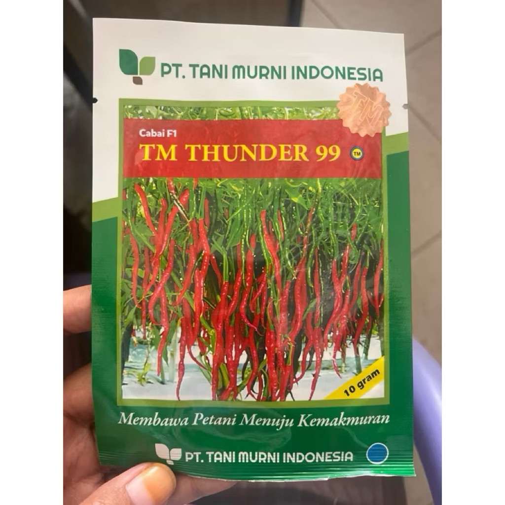 Benih cabe keriting TM THUNDER 99 10 gram cabai hibrida kriting dari tani murni cabe tm thunder 10gr
