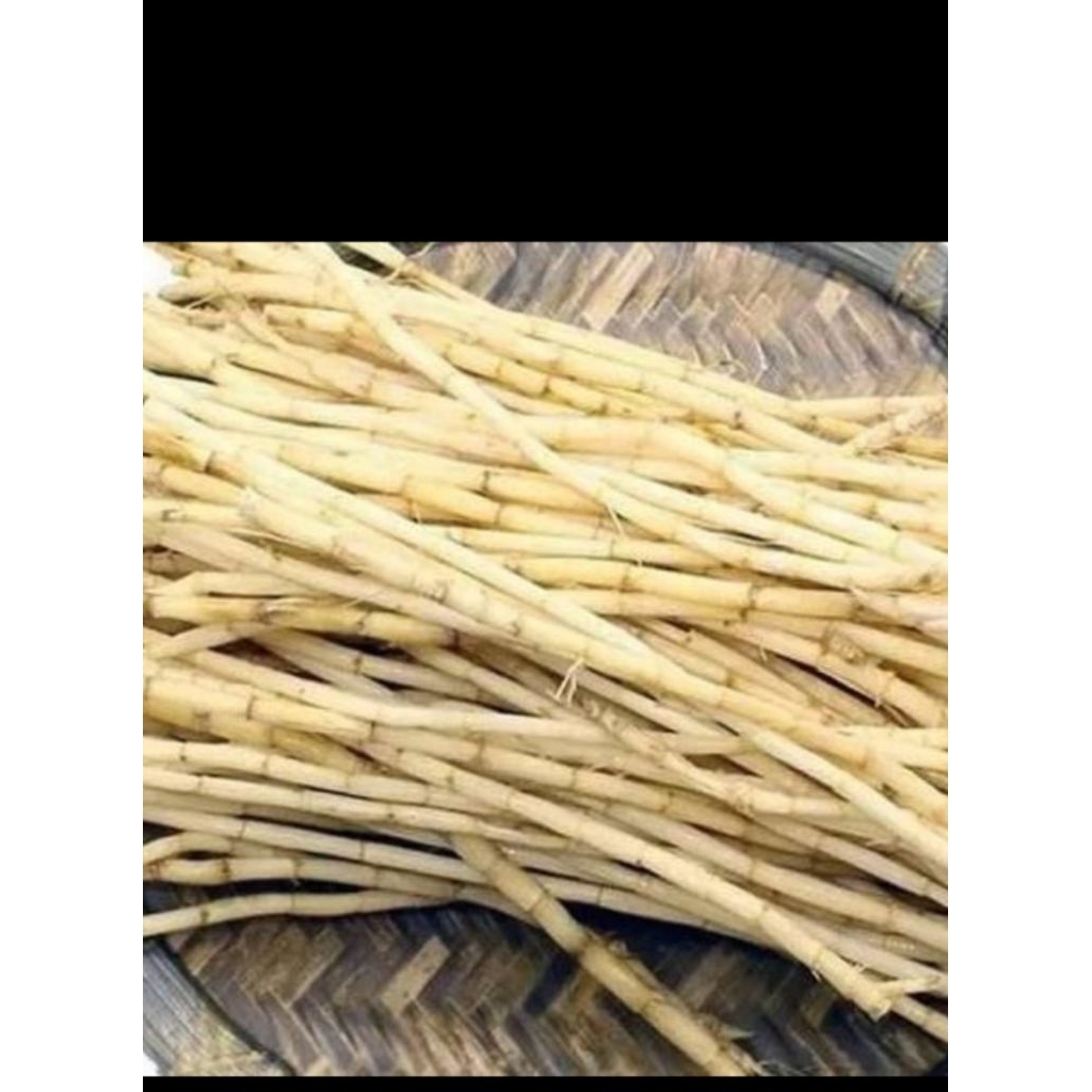 

AKAR ALANG ALANG SEGAR 250 GRAM