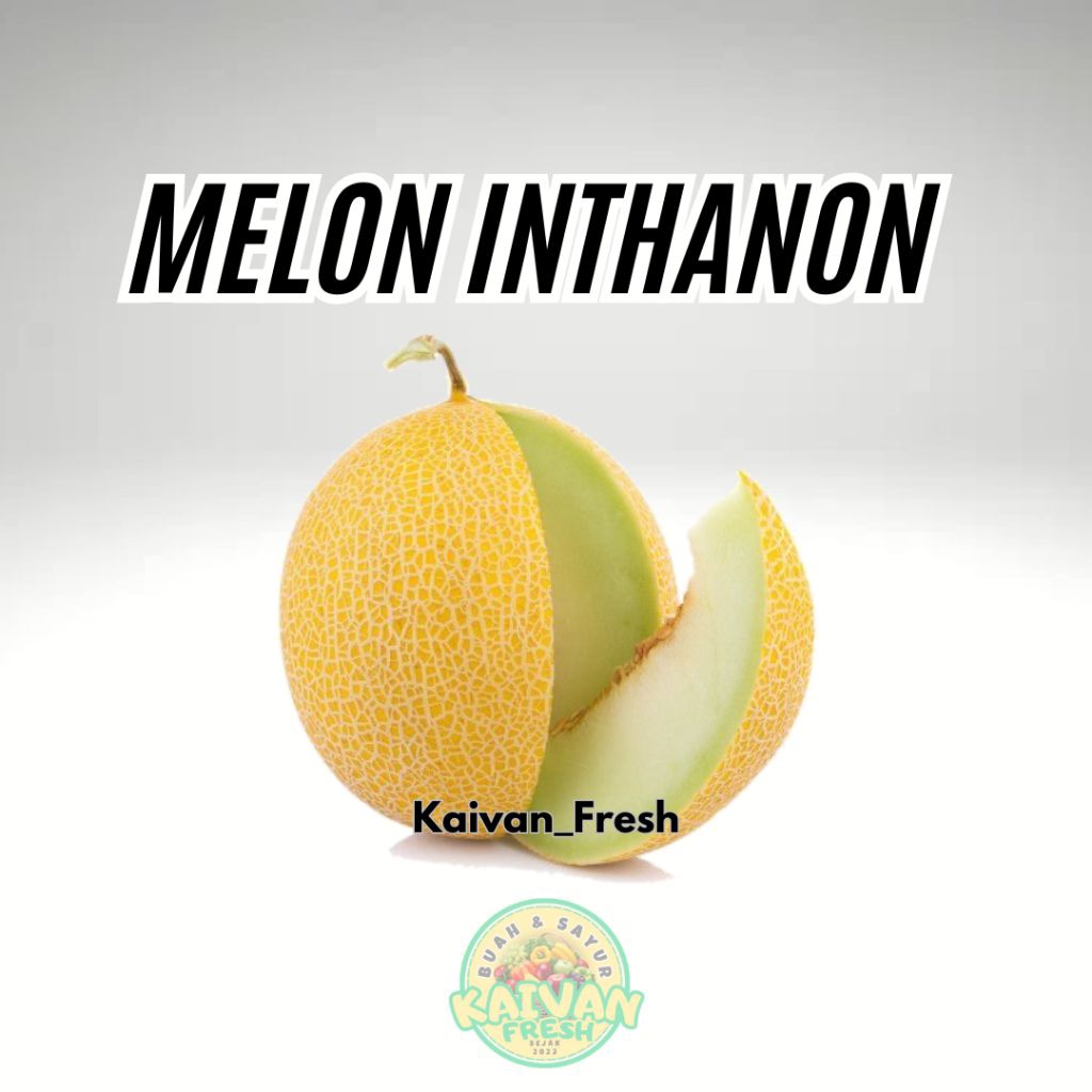 melon inthanon perbutir