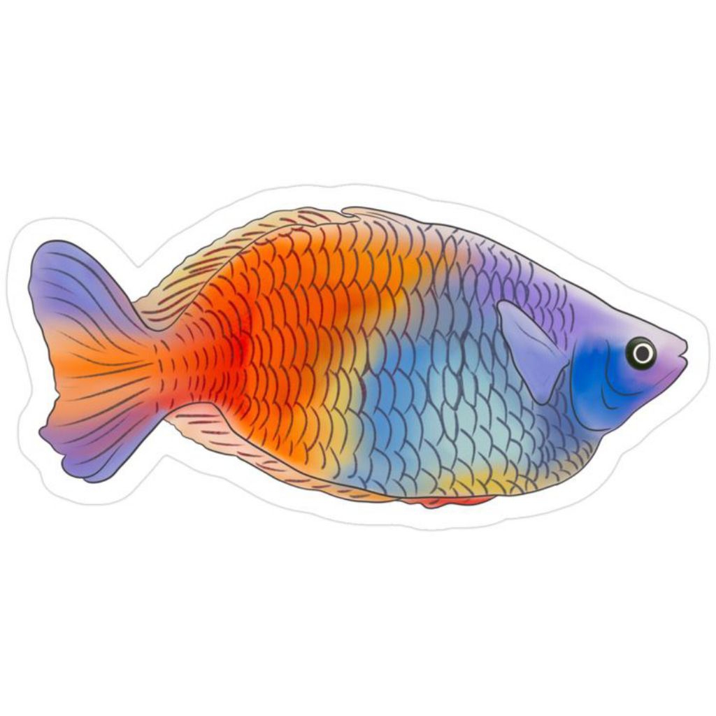 

STIKER LUCU RAINBOW BOSEMANI BALON 3 BIJI