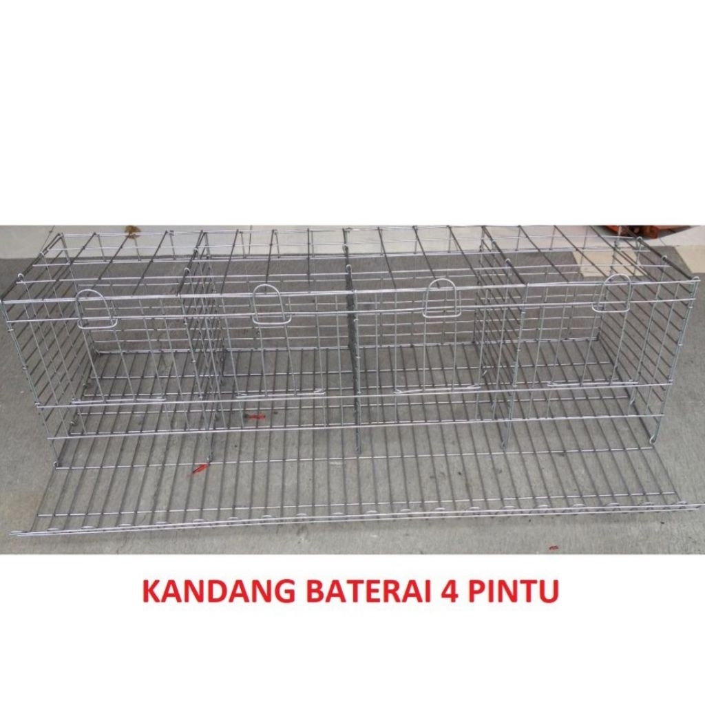 kandang ayam petelur/ baterai ayam petelur 4 pintu isi 8