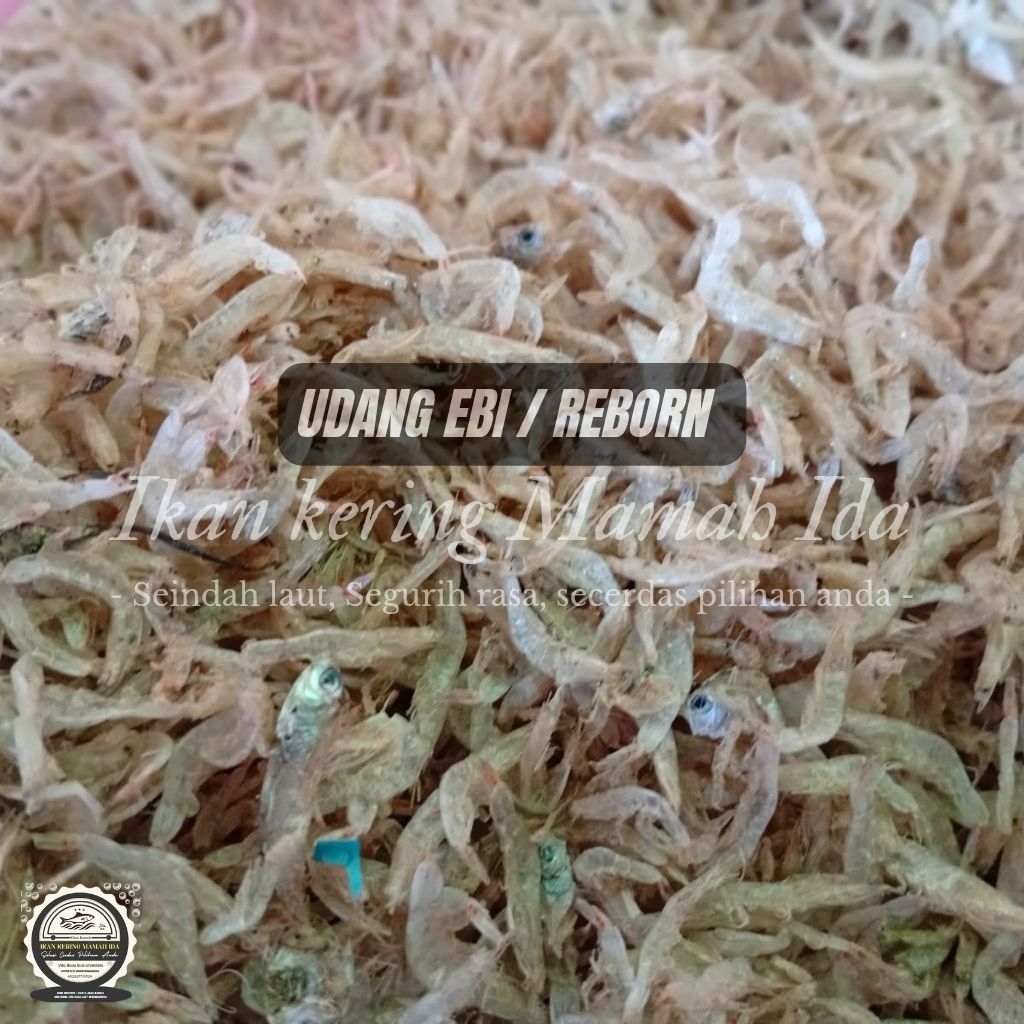 

EBI / REBON UNDANG 1Kg Udang