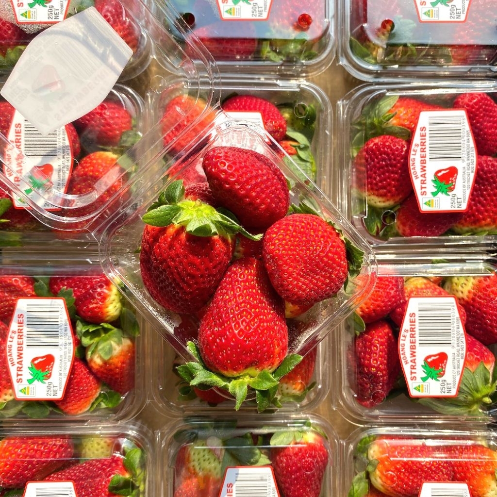 

Strawberry Aussie 250gr fresh