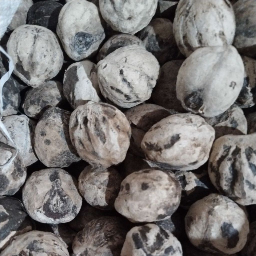 kemiri utuh 1kg masih ada cangkangnya