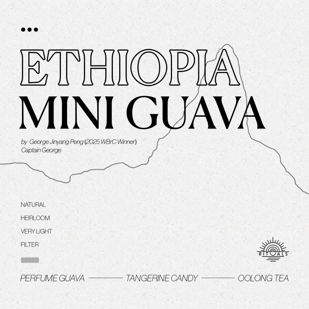 

Captain George Mini Guava Ehthiopia | 150 gr | rituals. | Single Origin Specialty Arabica Beans | Biji Kopi Filter Very Light Nordic Roast