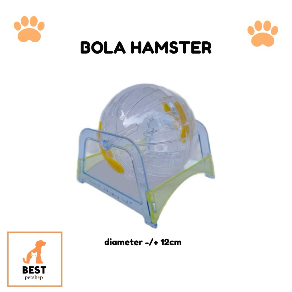bola olahraga hamster bola lari hamster